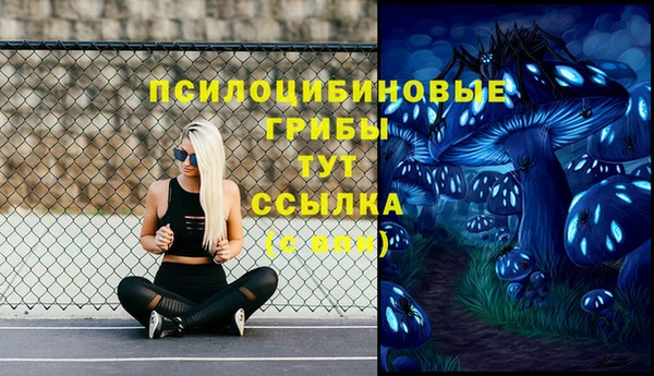 гидра Касимов