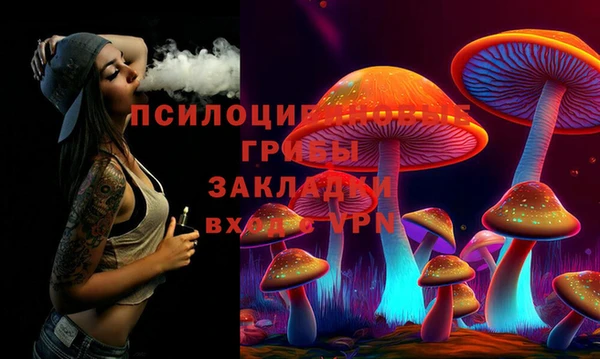 гидра Касимов