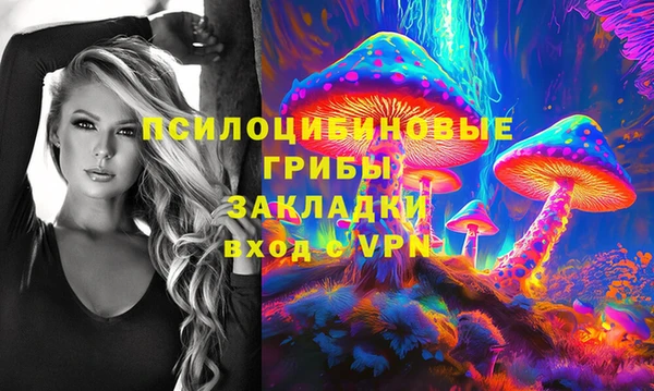 не бодяженный Карпинск