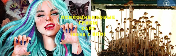 мяу мяу мука Карталы