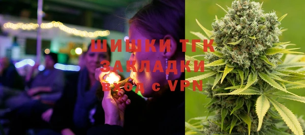 гидра Касимов